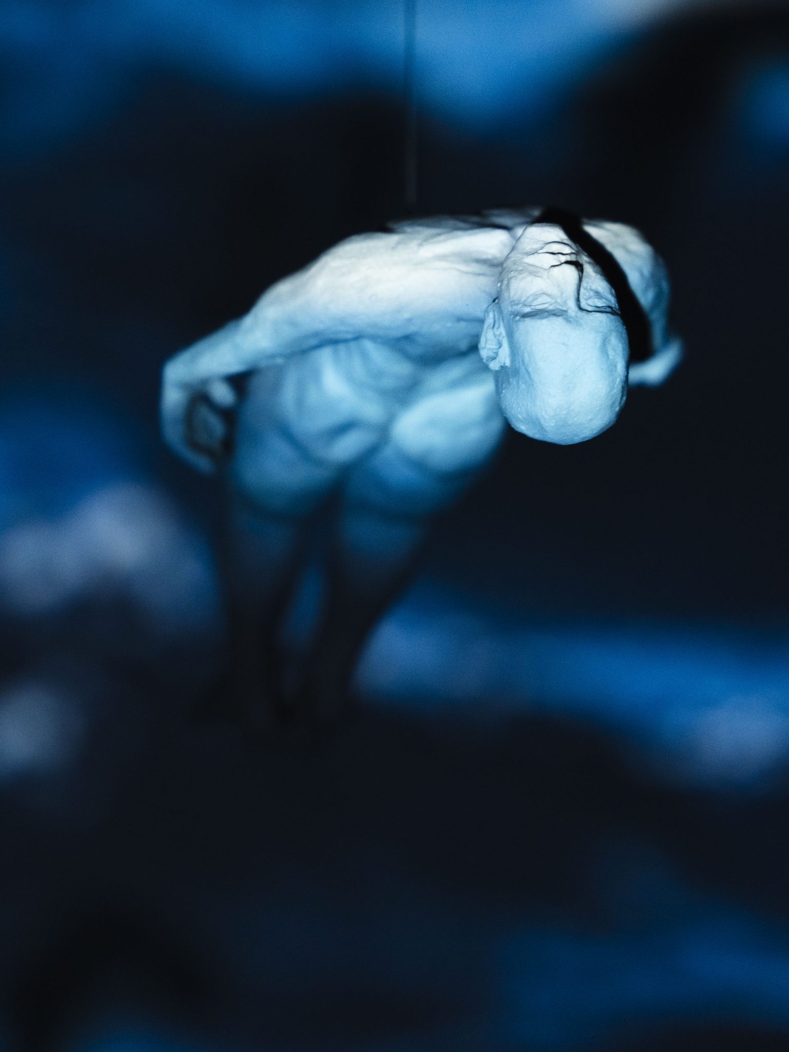 02.03.25_installation_12